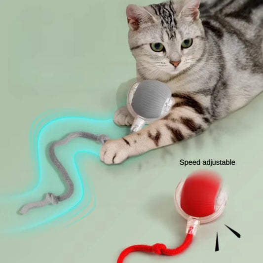 Rechargeable Automatic Rolling Pet Ball Toy