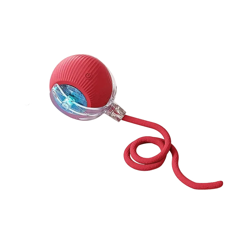 Rechargeable Automatic Rolling Pet Ball Toy