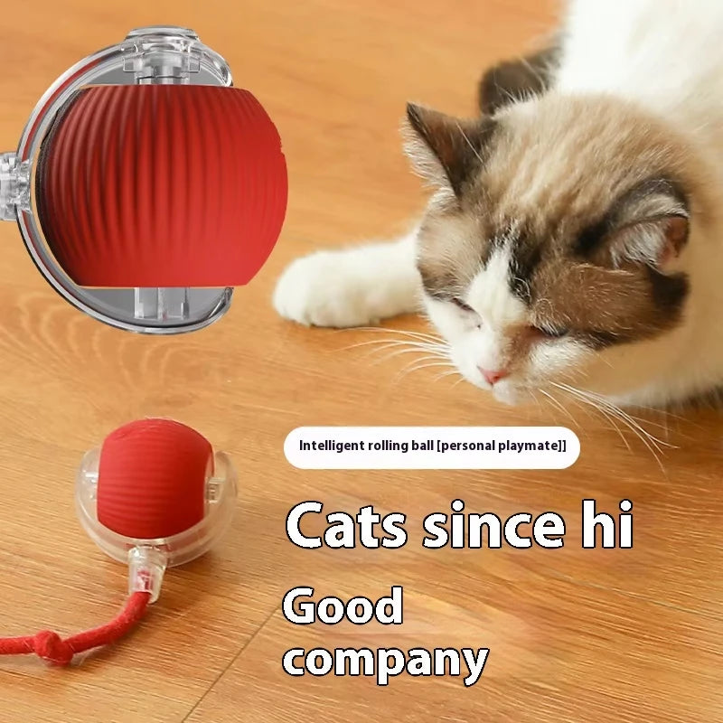 Rechargeable Automatic Rolling Pet Ball Toy
