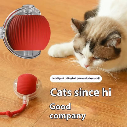 Rechargeable Automatic Rolling Pet Ball Toy