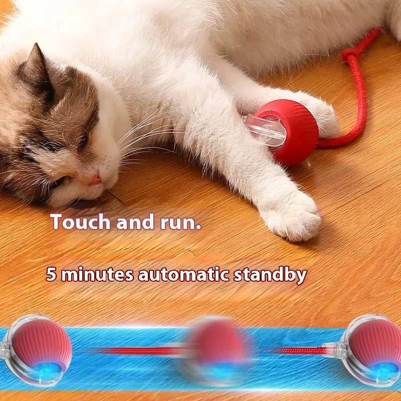 Rechargeable Automatic Rolling Pet Ball Toy