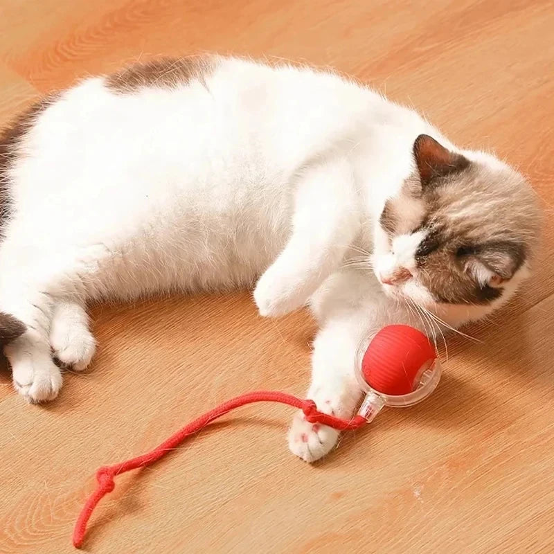 Rechargeable Automatic Rolling Pet Ball Toy
