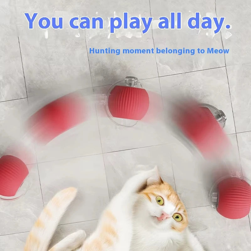 Rechargeable Automatic Rolling Pet Ball Toy